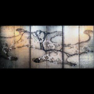 japanese antique Six hold paper screen paited in ink and color on  a silver ground with cherry blossom